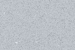 Линолеум Forbo SafeStep R12 175862 silver grey фото  | FLOORDEALER